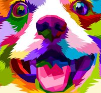 RAINBOW FULL of SOUND Ft The Happy Dog - Key West