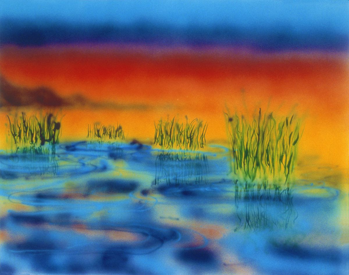 WETLANDS I