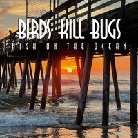 High on the Ocean by Birds Kill Bugs