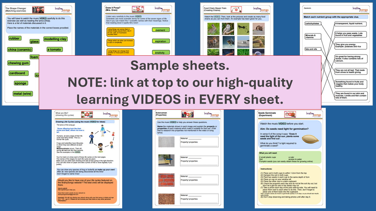 BrainySongs Science Activity Collection 2