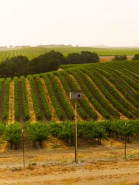 Derby Family Estates Private Party!