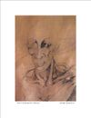 THE HORSEMAN (Head) | Image  4.75”x6.75”/ White frame 8.75”x 10.75”
