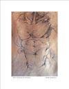 THE HORSEMAN (Torso) | Image  4.75”x6.75”/ White frame 8.75”x 10.75”