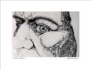 LEGION (Detail) | Image  4.75”x6.75” / White frame 8.75”x 10.75”