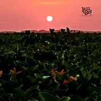 Vista 02 de Proyecto Jazzbel