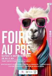 MarSandElle - Concert au FOIRE AU PRE