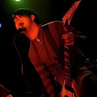BRICK WFB