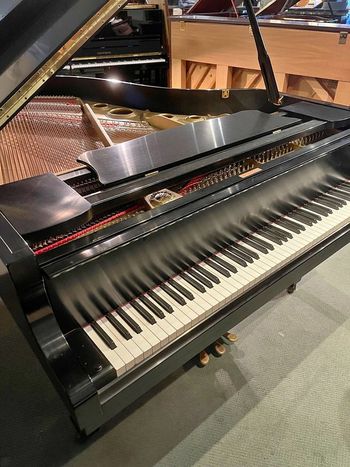 My Yamaha C3 Conservatory Grand
