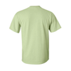 t-shirt - big ig - pistachio