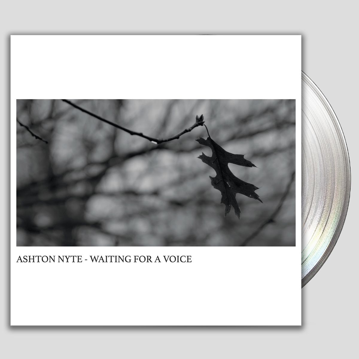 Ashton Nyte - Waiting For A Voice (Vinyl)