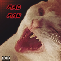 MAD MAN by Renimselv