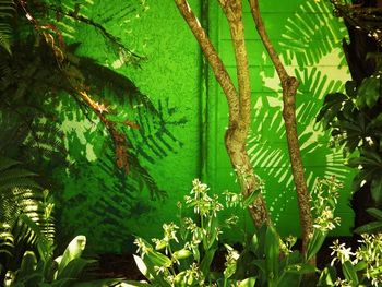 Takaka, NZ, 2011
