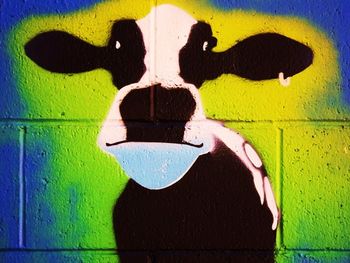 Takaka, NZ, 2011
