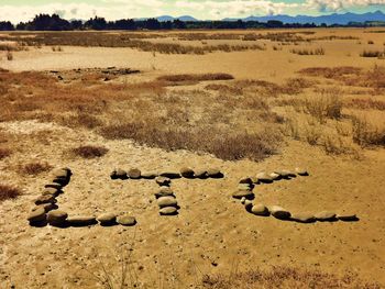 Motueka, NZ, 2011
