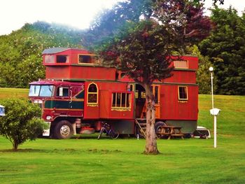 Blenheim, NZ, 2011
