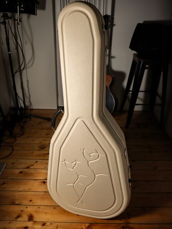 Hiscox Passionflower design guitar case Jon Gomm raffle prize

