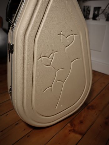 Hiscox Passionflower design guitar case Jon Gomm raffle prize close up
