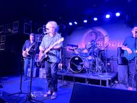 Big Brass Bed celebrates Bob Dylan’s Birthday