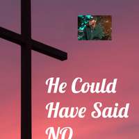 He Could Have Said No by Kristian Miri