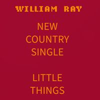 Little Things by William Ray