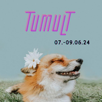 Tumult im Fuchsbau Festival 