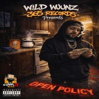 Open Policy by NEEDLESS KANE