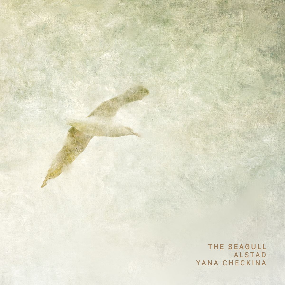 The Seagull (piano & cello)