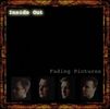 Inside Out - Fading Pictures