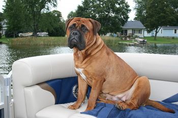 Morgan's first ride on the pontoon.
