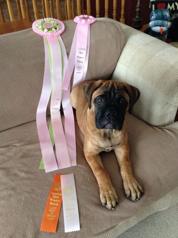 Jordy and her ribbons
