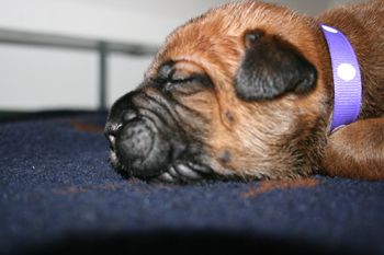 Sweet little girl, Morgan.
