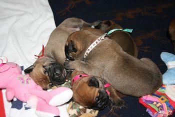 All piled up.
