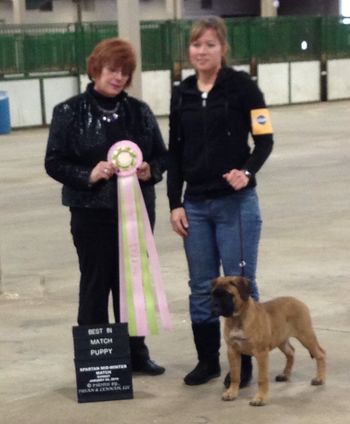 Jordy wins Best Puppy in Show
