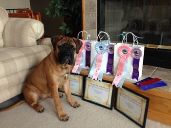 Jordy's winnings

