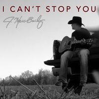 J. Marc Bailey - Acoustic Performance