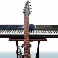 Universal Frequency  by The Simply Mike V Band