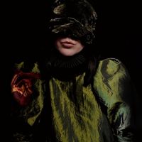 Lays Amidst Darkly Days, Vol. 2 by Lavinia Valeriana