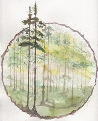 Carolina Pine Music Festival