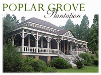 Grooves in The Grove