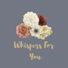 Tier 1 - Whisper Note (10 minute personalised audio)