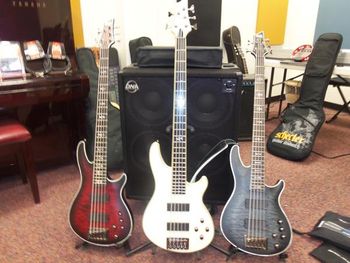 Schecter Endorsement
