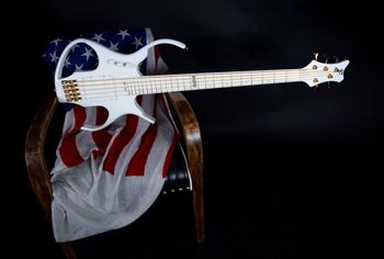 My custom Stega bass!
