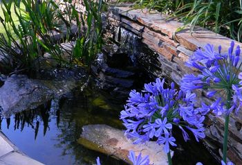 Water Features

