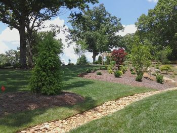 Dry Creek Beds
