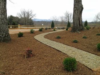 Pebble Walkways
