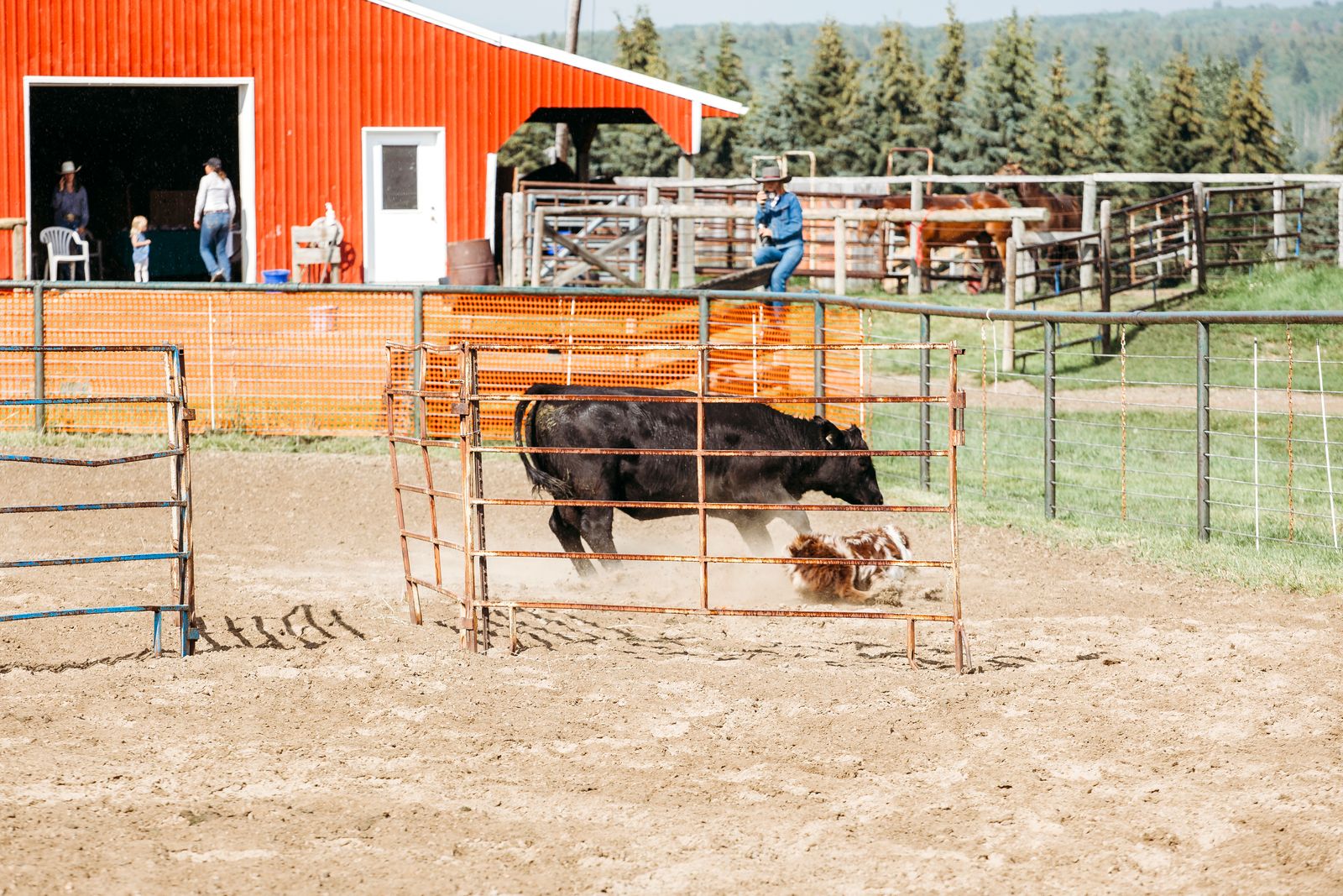 GS Ranch - WILL