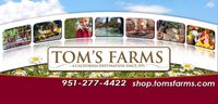 Tom's Farm