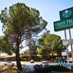 Green Tree Inn