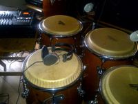 Manny Cotto /Latin percussion featuring Tim & April Bell