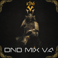 KING V PROJECT D&B V4 by KING VENAROMA